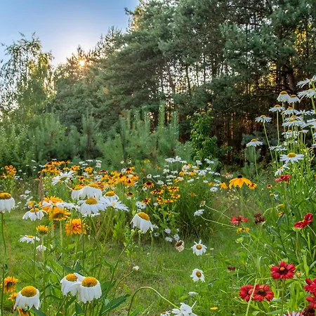 بيت للعطل Siedlisko *