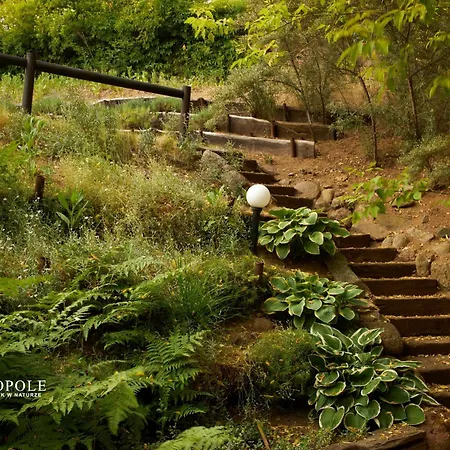 بيت للعطل Siedlisko *