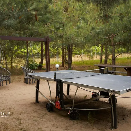 Siedlisko بيت للعطل *