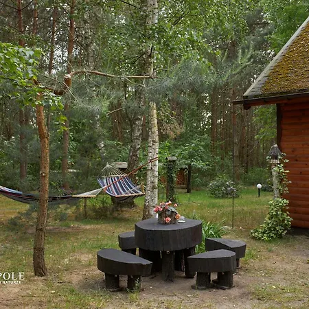 Siedlisko