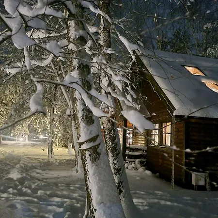 Siedlisko 度假居 Janopole