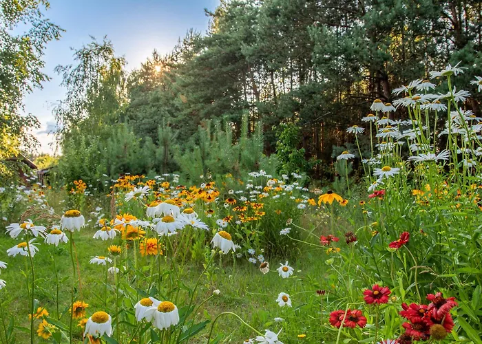 Ferienhaus Siedlisko *