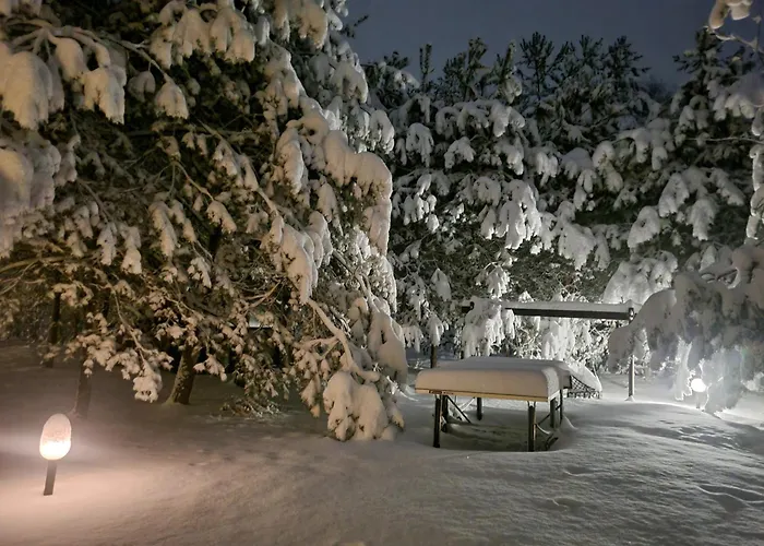 度假居 Siedlisko *